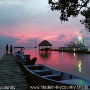 Group logo of MadeinMycountry America Latina